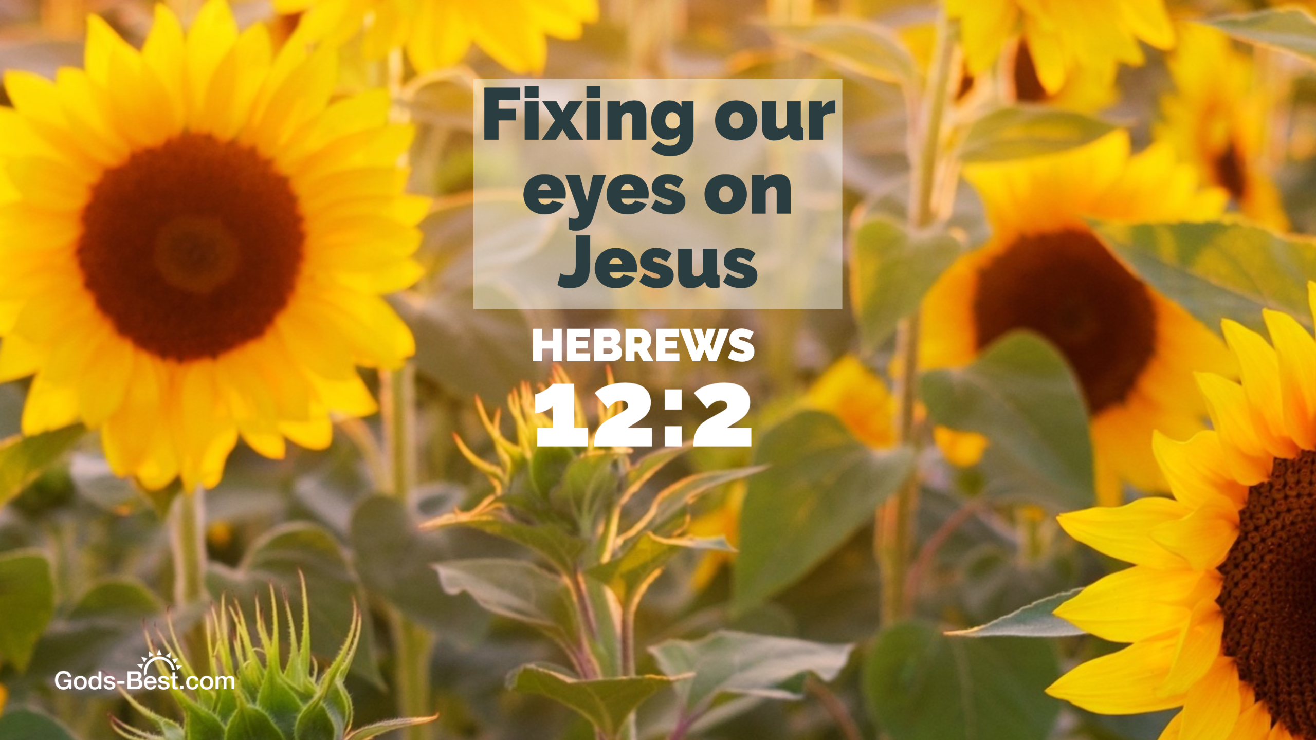 Free Christian wallpaper for your tablet or computer August 2021 Keep our eyes on Jesus Hebrews 12 verse 2